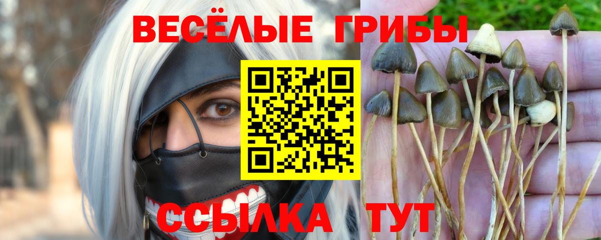 Галлюциногенные грибы Magic Shrooms Елабуга